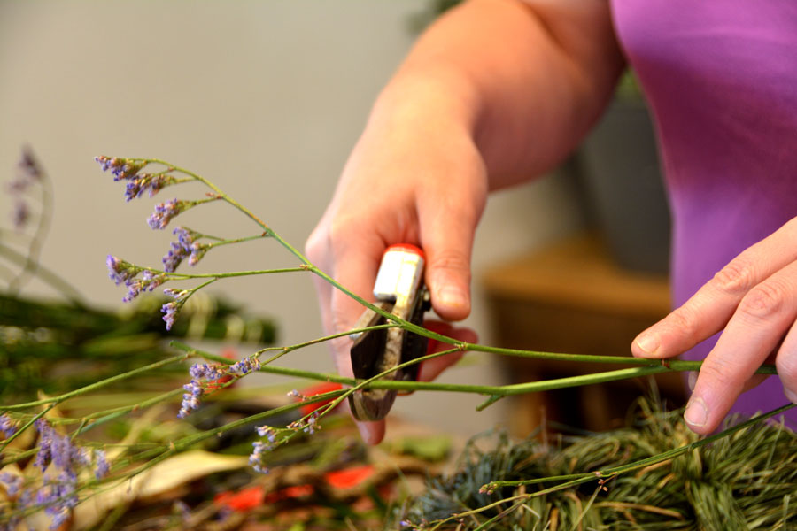 Florist Sonnenschutz